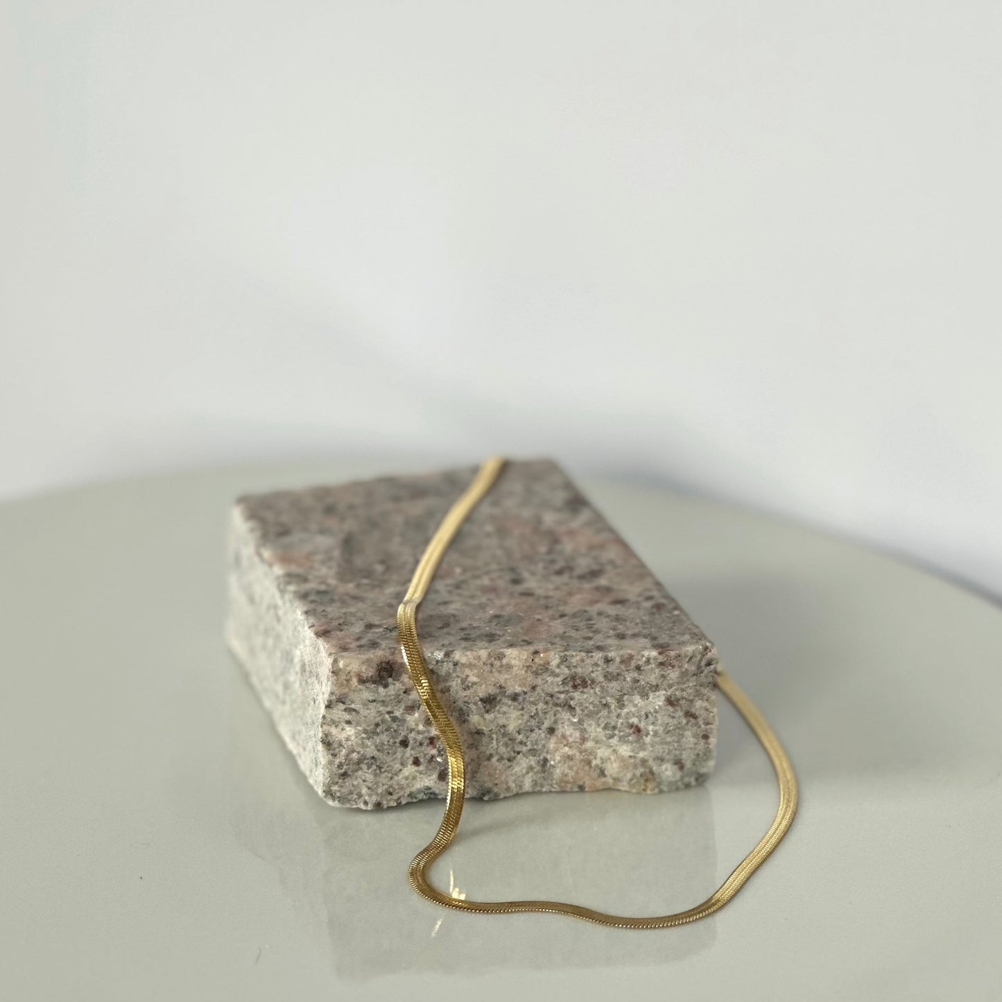 Snake Bone Necklace