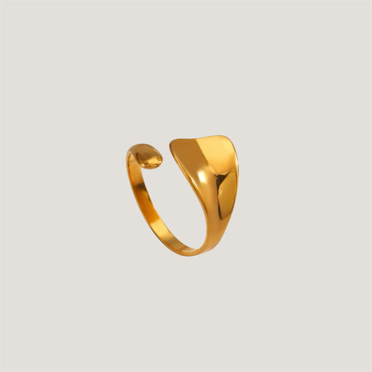 Gleam adjustable ring