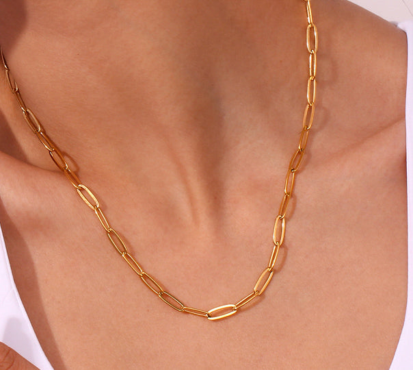 Paper clip necklace