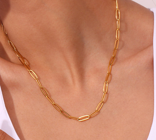 Paper clip necklace